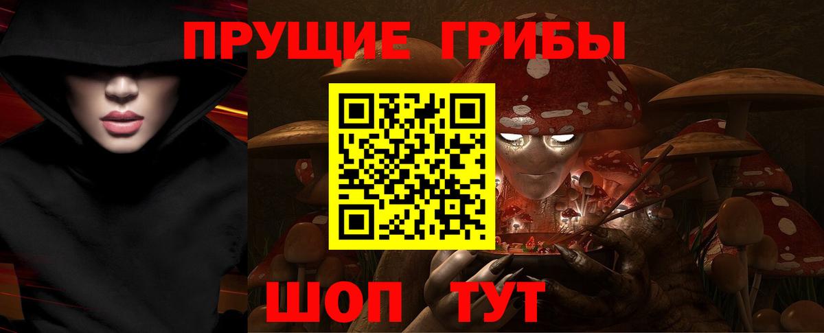 Галлюциногенные грибы мицелий  Вход с VPN  Тверь 